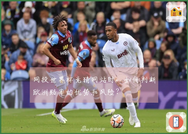 网投世界杯竞猜网站时，如何判断欧洲赔率的优势和风险？